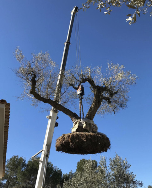 Paysagistes à Tourrettes-sur-Loup