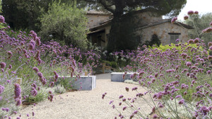 Aménagement extérieur à Tourrettes-sur-Loup | JARDIN MEDITERRANEEN
