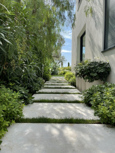 Jardinier professionnel à Tourrettes-sur-Loup