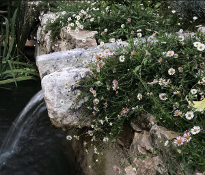 jardinier à Tourrettes-les-Loup